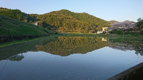 63 朝の水面の美しさ