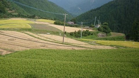 八重地の田園の写真