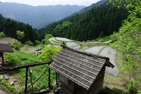 棚田のある風景の写真