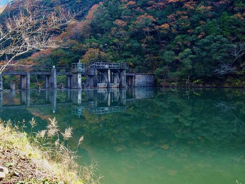 御所池の秋１の写真