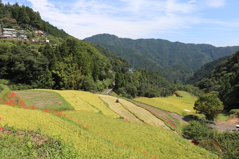 里山の秋の写真