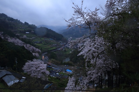 雨の朝の写真