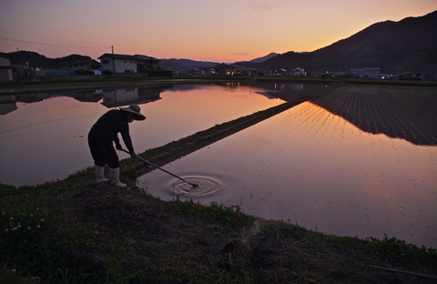 夕暮れどきの写真