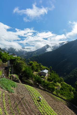 晴天下の農作業風景