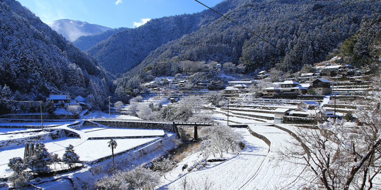 雪の日の棚田,島田賀代さん,神山町