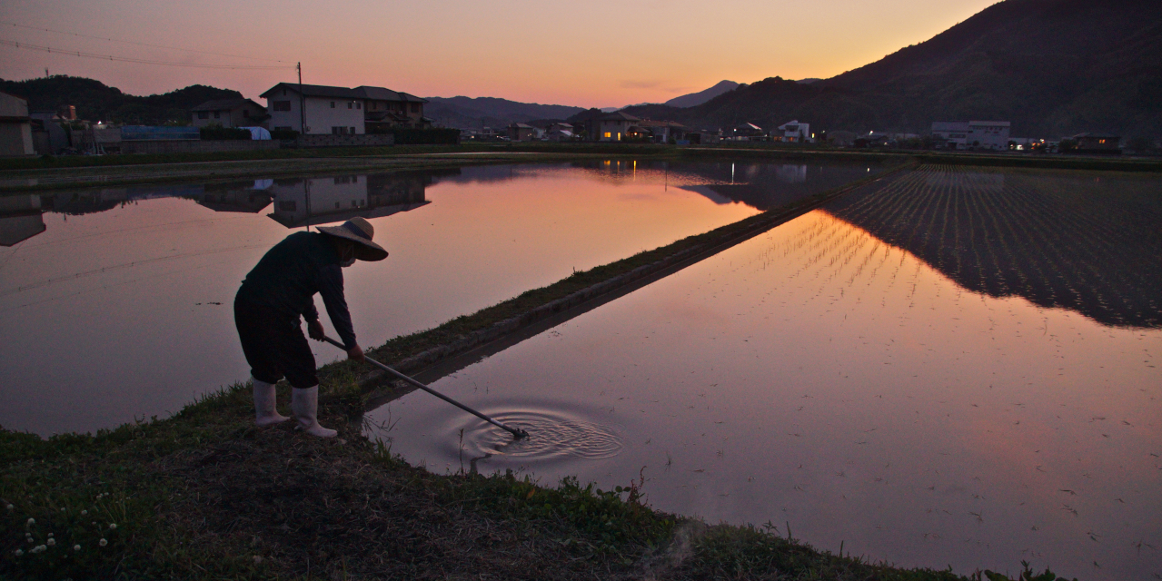 夕暮れどき,紅露儀一さん,阿南市桑野町