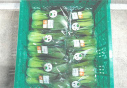 ロゴシール貼り出荷品