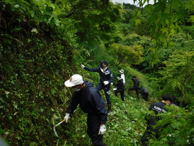 やすらぎの森の除草・剪定作業