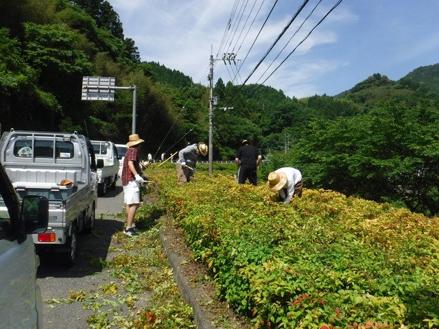 ツツジ園の除草・剪定作業