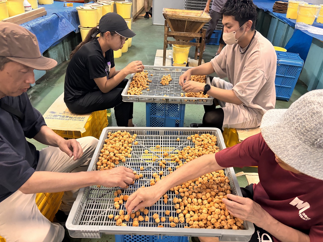 ヘタ取り作業を行う様子