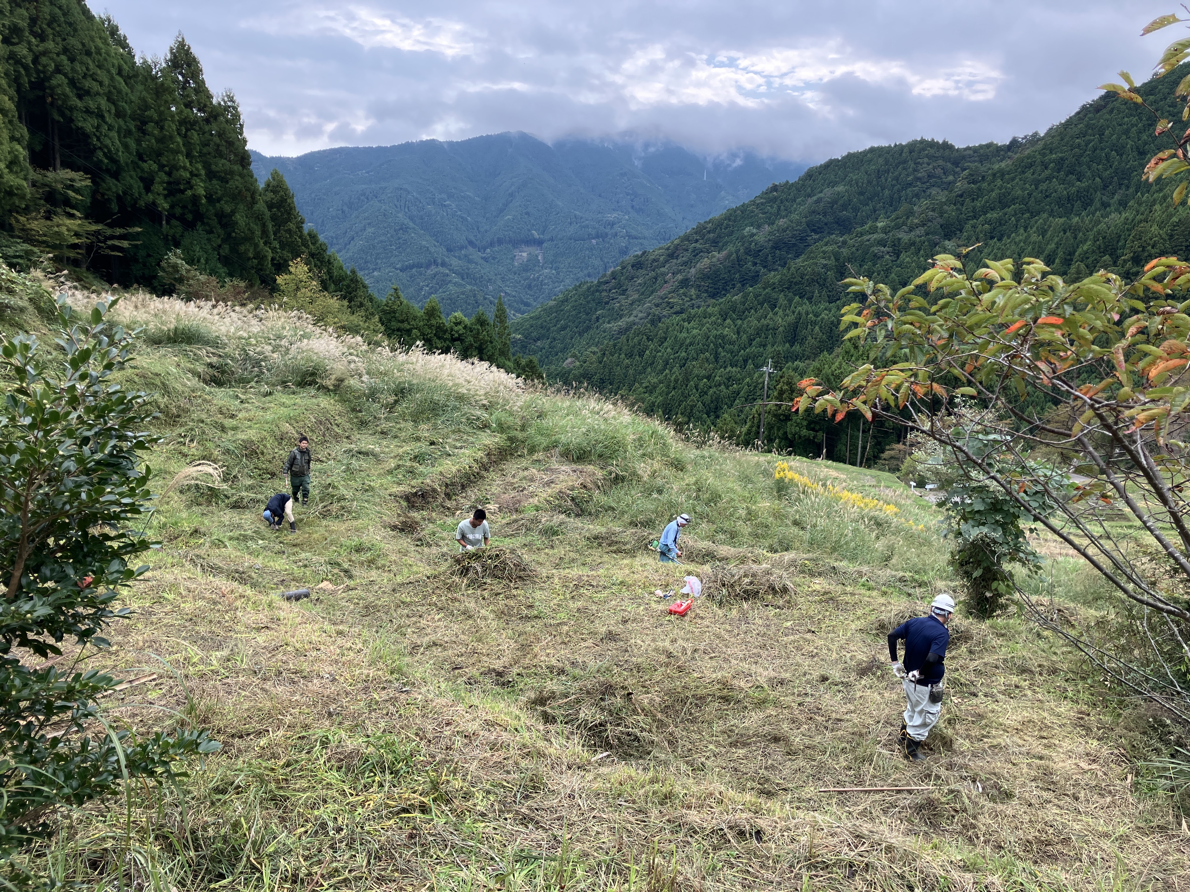 作業風景全体の様子