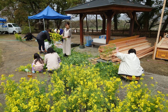 菜の花装飾作成
