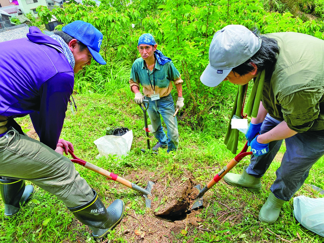 牟岐町出羽島での活動の様子