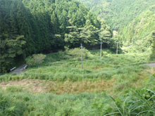 赤谷(あかだに)の棚田 赤谷(あかだに)の棚田