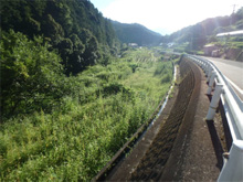 恵美子(えびす)の棚田