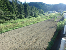 恵美子(えびす)の棚田