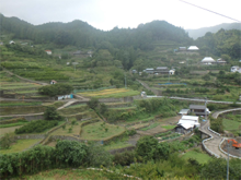 江田(えだ)の棚田