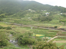 江田(えだ)の棚田