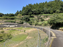 張(はり)の棚田 張(はり)の棚田
