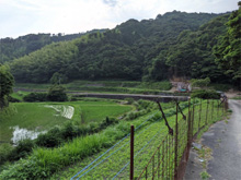 辺川(へがわ)の棚田 辺川(へがわ)の棚田