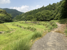 辺川(へがわ)の棚田
