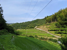 辺川(へがわ)の棚田
