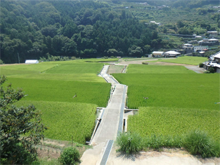 東久保(ひがしくぼ)の棚田