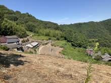 東大谷・神楽田(ひがしおおたに・かぐらでん)の棚田