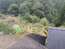 桧曽根(ひそね)の棚田