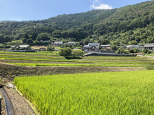 井の久保西(いのくぼにし)の棚田