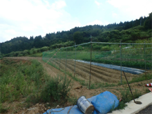 蔭名(かげみょう)の棚田