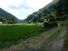 寒ヶ瀬(かんがせ)の棚田