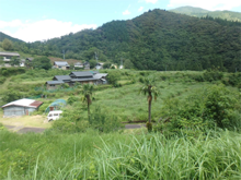 寒ヶ瀬(かんがせ)の棚田