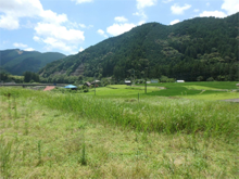 桑原(くわはら)の棚田