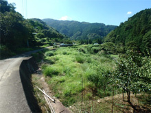 丸山(まるやま)の棚田 丸山(まるやま)の棚田