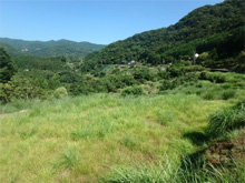 丸山(まるやま)の棚田 丸山(まるやま)の棚田