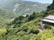 中古井(なかこい)の棚田