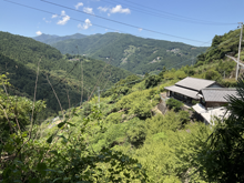 中古井(なかこい)の棚田