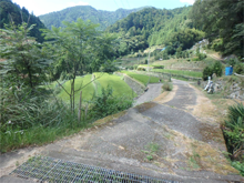 中立川(なかたづかわ)の棚田 中立川(なかたづかわ)の棚田