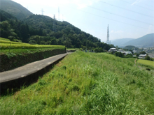 西町(にしまち)の棚田