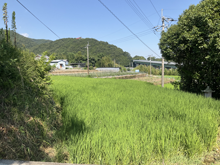 西の岡(にしのおか)の棚田 西の岡(にしのおか)の棚田