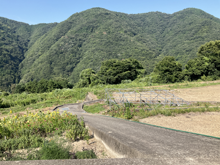 西大谷(にしおおたに)の棚田
