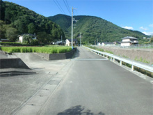 西州津(にししゅうづ)の棚田 西州津(にししゅうづ)の棚田