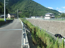 西州津(にししゅうづ)の棚田