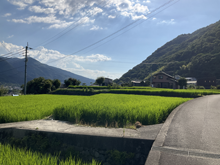 西州津(にししゅうづ)の棚田