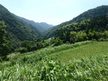 日進(にっしん)の棚田 日進(にっしん)の棚田