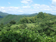 信正(のぶまさ)の棚田 信正(のぶまさ)の棚田