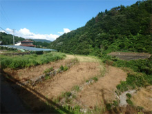 野呂内(のろうち)の棚田 野呂内(のろうち)の棚田