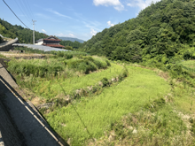 野呂内(のろうち)の棚田