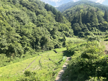 野呂内(のろうち)の棚田